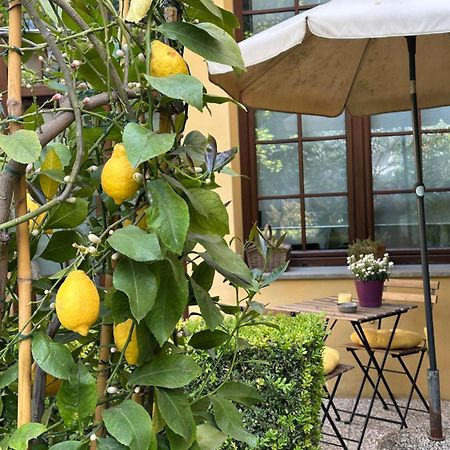 شقة La Limonaia Firenze المظهر الخارجي الصورة